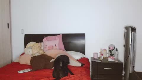 Auro and Santiago online show from 02/24/25, 03:55