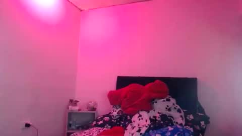 Snapshot of doll_sary chatting on 12/28/24, 04:52 Catherine XXX online show from 12/28/24, 04:52