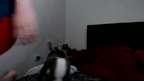 Snapshot of doll_sary chatting on 02/08/25, 09:03 Catherine XXX online show from 02/08/25, 09:03