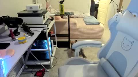 Snapshot of dolllface chatting on 03/22/26, 01:53 DOLLLFACE online show from 03/22/26, 01:53