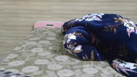 dolly_2 online show from 02/06/25, 10:04