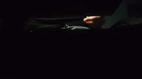 Snapshot of domcook147 chatting on 01/04/25, 12:05 domcook147 online show from 01/04/25, 12:05