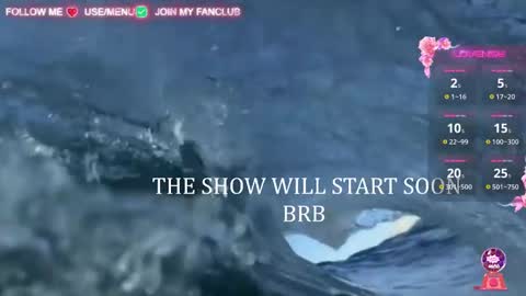 I WILL BE BACK ON WEDNESDAY DECEMBER 4 0100AM COLOMBIA TIME    online show from 03/06/25, 09:58