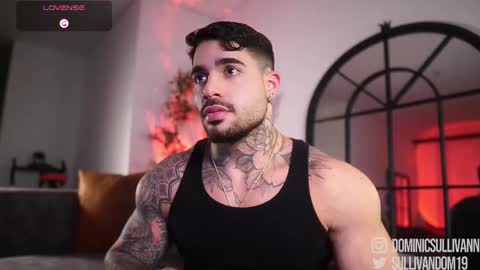 Dominic Sullivan online show from 02/22/26, 04:13