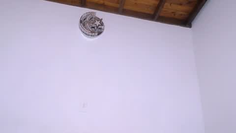 Snapshot of dominika_angel chatting on 07/11/26, 02:03 online show from 07/11/26, 02:03