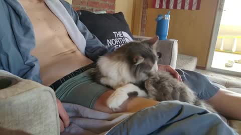 dommepleasemistress online show from 03/22/26, 05:05