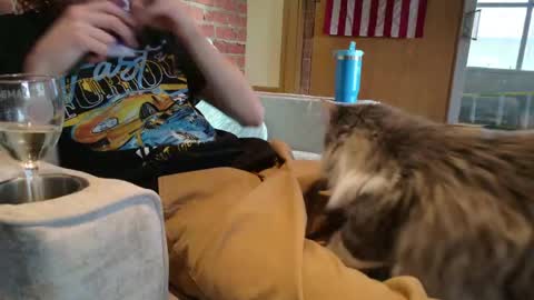 dommepleasemistress online show from 03/30/26, 12:33