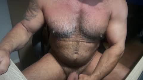 Snapshot of donk566 chatting on 02/01/26, 11:53 donk566 online show from 02/01/26, 11:53