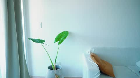 Snapshot of donnna19 chatting on 03/26/26, 11:27 Donatella online show from 03/26/26, 11:27