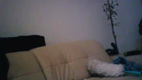 Snapshot of donosus chatting on 01/18/26, 01:31 donosus online show from 01/18/26, 01:31