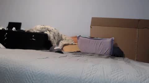 Snapshot of dorato_xxx chatting on 03/17/26, 07:17 Dorato online show from 03/17/26, 07:17