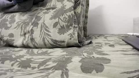 menu  below online show from 12/31/24, 02:47