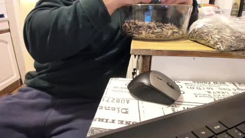 menu  below online show from 01/01/25, 12:00