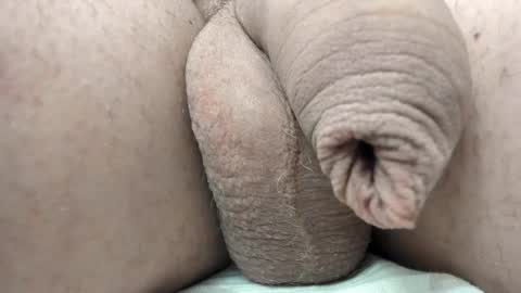 menu  below online show from 02/11/25, 06:01