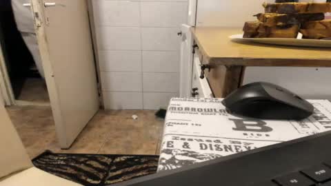 Snapshot of doriancretu95 chatting on 04/13/26, 05:29 menu below online show from 04/13/26, 05:29