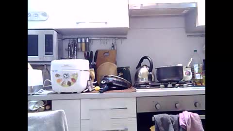 Snapshot of dorrie_ann chatting on 12/29/24, 05:31 Dorrie Ann online show from 12/29/24, 05:31