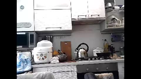 Snapshot of dorrie_ann chatting on 03/01/25, 08:13 Dorrie Ann online show from 03/01/25, 08:13