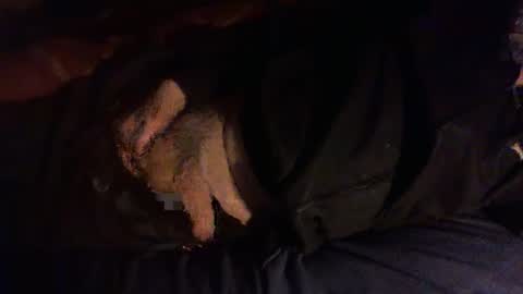 Hello  welcome to Slutsville  I am the Naked Chef  really  but you may call me Peter online show from 01/08/26, 06:32