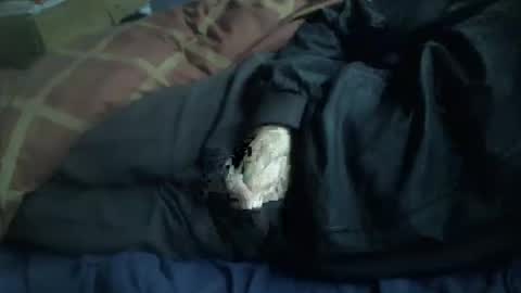 Hello  welcome to Slutsville  I am the Naked Chef  really  but you may call me Peter online show from 01/12/26, 09:58