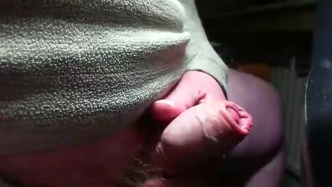 Snapshot of doscard chatting on 12/14/24, 11:34 doscard online show from 12/14/24, 11:34