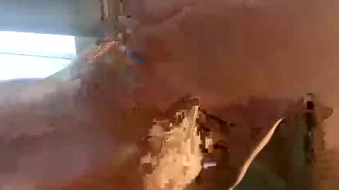 Snapshot of doug_funnie chatting on 04/06/26, 07:26 doug_funnie online show from 04/06/26, 07:26