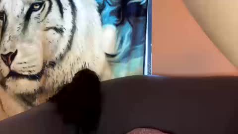 Snapshot of dove_love22 chatting on 10/17/25, 09:06 dove_love22 online show from 10/17/25, 09:06