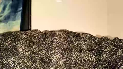 Snapshot of dove_love22 chatting on 11/30/25, 02:15 dove_love22 online show from 11/30/25, 02:15