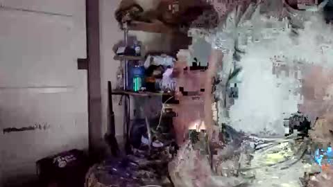 Snapshot of dpirated1 chatting on 04/08/26, 11:32 MrPirated online show from 04/08/26, 11:32