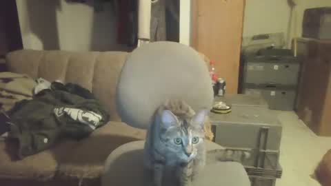 drac2009 online show from 01/28/25, 05:11