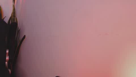 Snapshot of drake_cole11 chatting on 02/04/25, 03:22 drake_cole11 online show from 02/04/25, 03:22