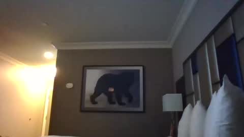 Snapshot of dreadedchefloxxx chatting on 03/03/25, 06:59 DreadedChefLoXXX online show from 03/03/25, 06:59