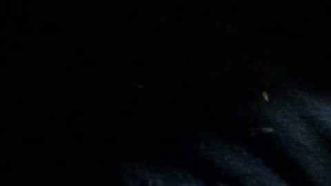 Dreadedted online show from 11/24/25, 08:14