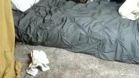 Snapshot of dreadedted chatting on 02/13/26, 04:58 Dreadedted online show from 02/13/26, 04:58