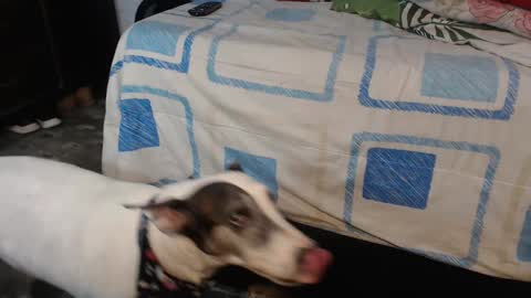 dreamreal online show from 10/12/25, 02:10