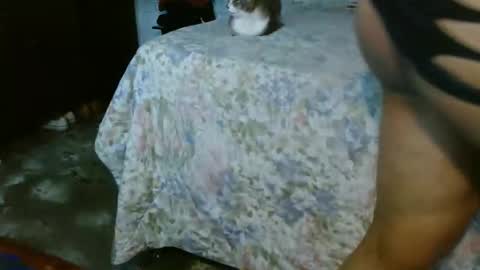 dreamreal online show from 10/31/25, 02:07