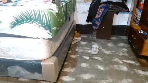 dreamreal online show from 03/18/26, 10:40