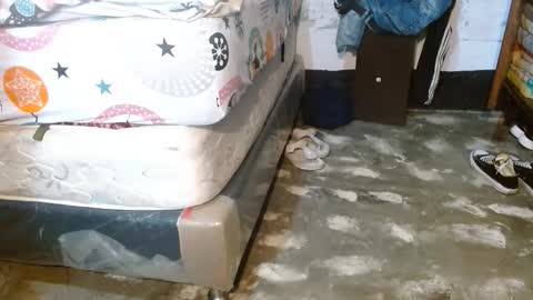 dreamreal online show from 03/29/26, 10:37