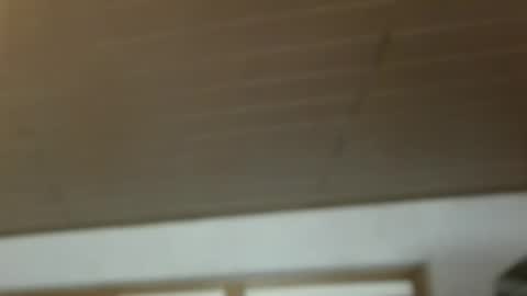 Dreambob online show from 12/21/25, 11:17