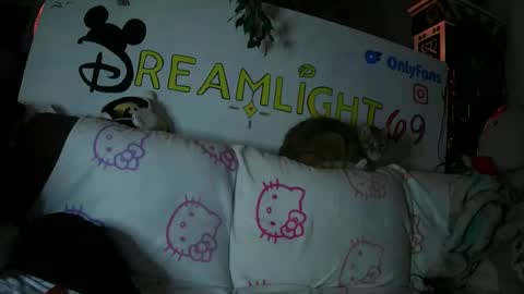 Dreamlight online show from 01/26/25, 07:53