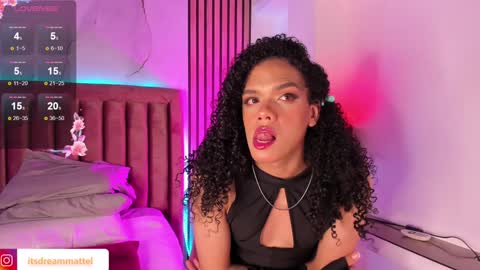 Snapshot of dreammatell_ chatting on 01/28/25, 09:30 Dream Matell online show from 01/28/25, 09:30