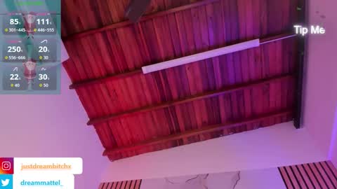 Snapshot of dreammatell_ chatting on 11/09/25, 04:00 Dream Matell online show from 11/09/25, 04:00