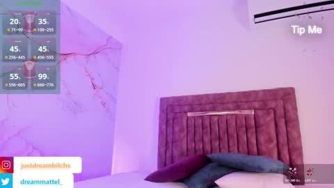 Snapshot of dreammatell_ chatting on 12/23/25, 03:48 Dream Matell online show from 12/23/25, 03:48