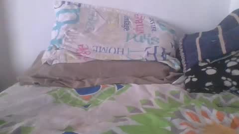 Snapshot of dreicodd chatting on 01/02/25, 04:46 camilo online show from 01/02/25, 04:46