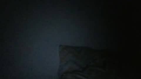 Snapshot of dreicodd chatting on 01/03/25, 05:17 camilo online show from 01/03/25, 05:17