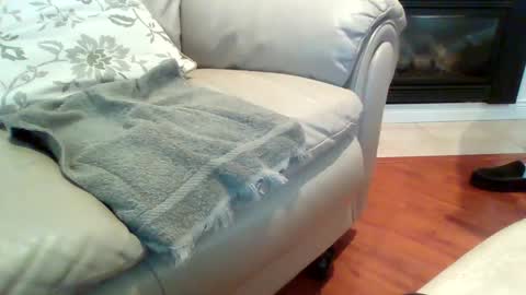 Snapshot of drexx1x chatting on 12/24/24, 01:16 drexx1x online show from 12/24/24, 01:16