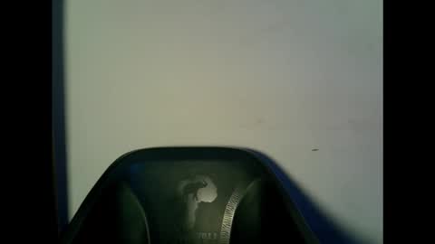 drippingpussy__ online show from 10/15/25, 11:21