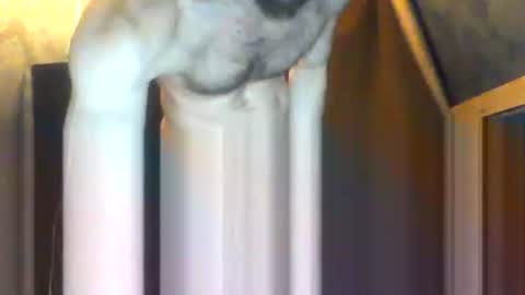 drippydickboy online show from 02/05/26, 09:19