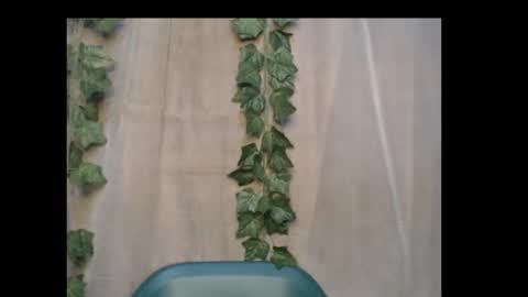 linda online show from 10/15/25, 12:55