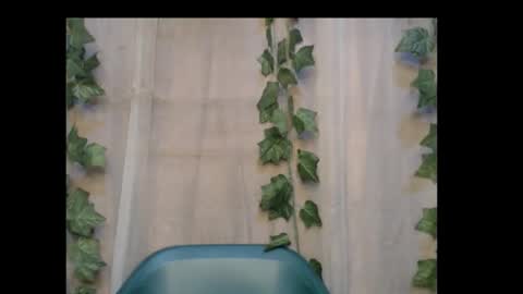 linda online show from 10/30/25, 01:12