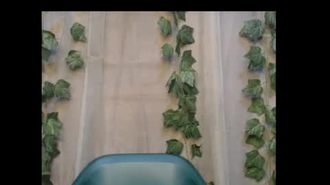 linda online show from 10/31/25, 01:39